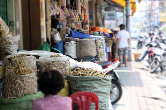 medicine chinatown traditional cholon