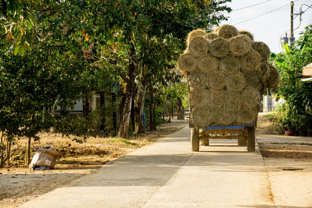 Talai Village explore Nam Cat Tien