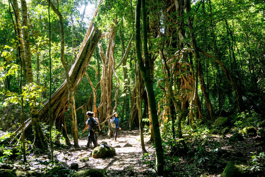 guide to Nam Cat Tien national park