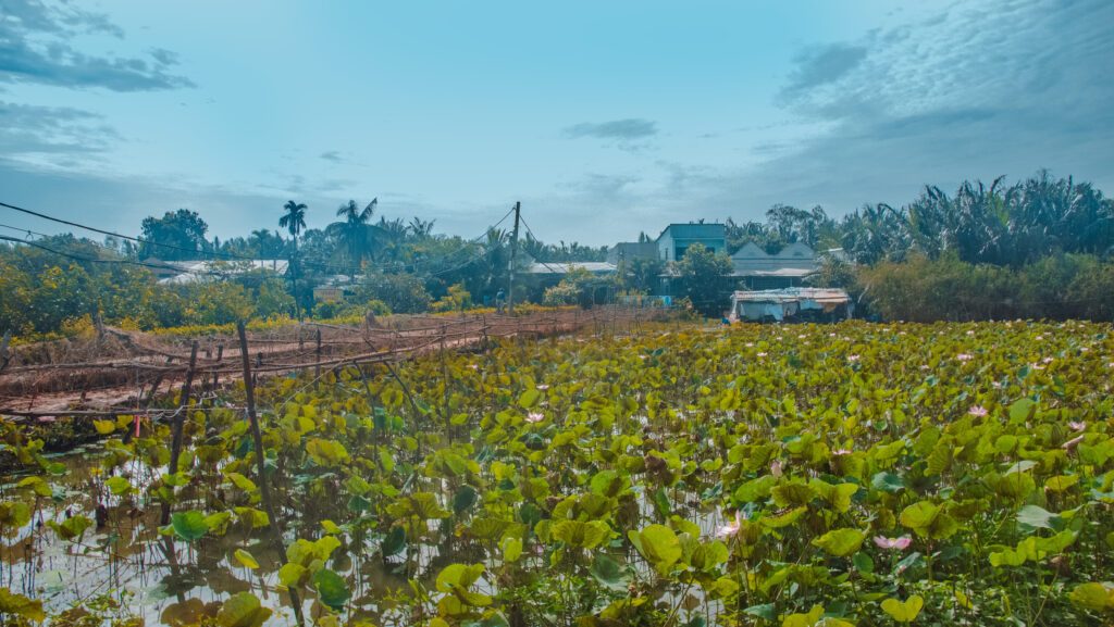 Thanh Da island off-the-beaten-path Saigon