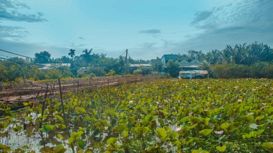 Thanh Da island off-the-beaten-path Saigon