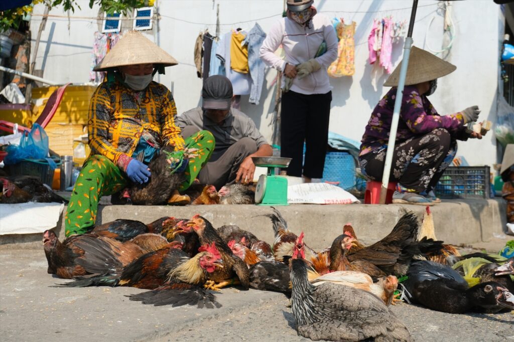 things to prepare for Tet's holiday