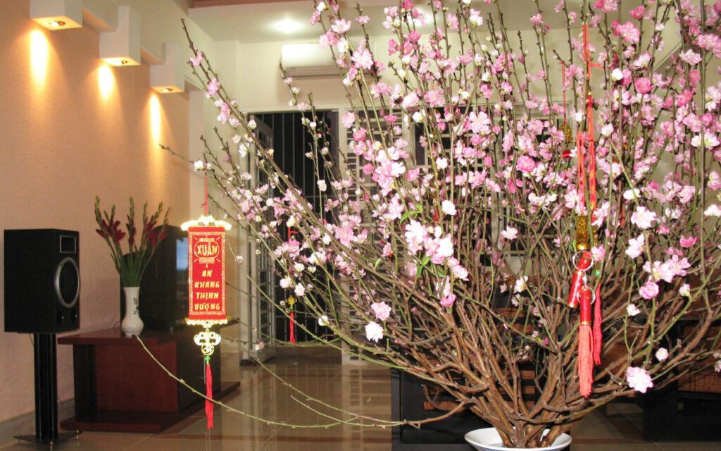 Tet holiday activity