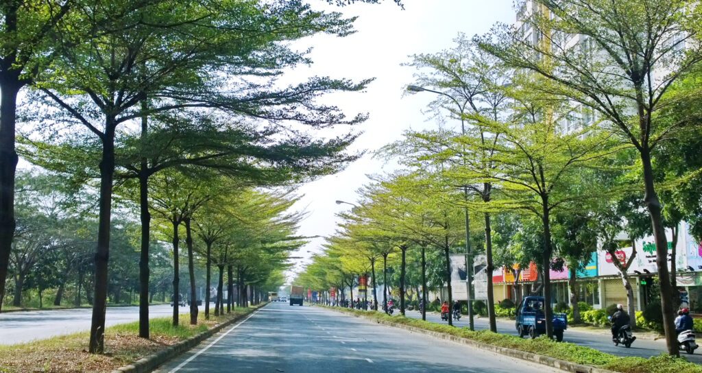 best cycling route ho chi minh city