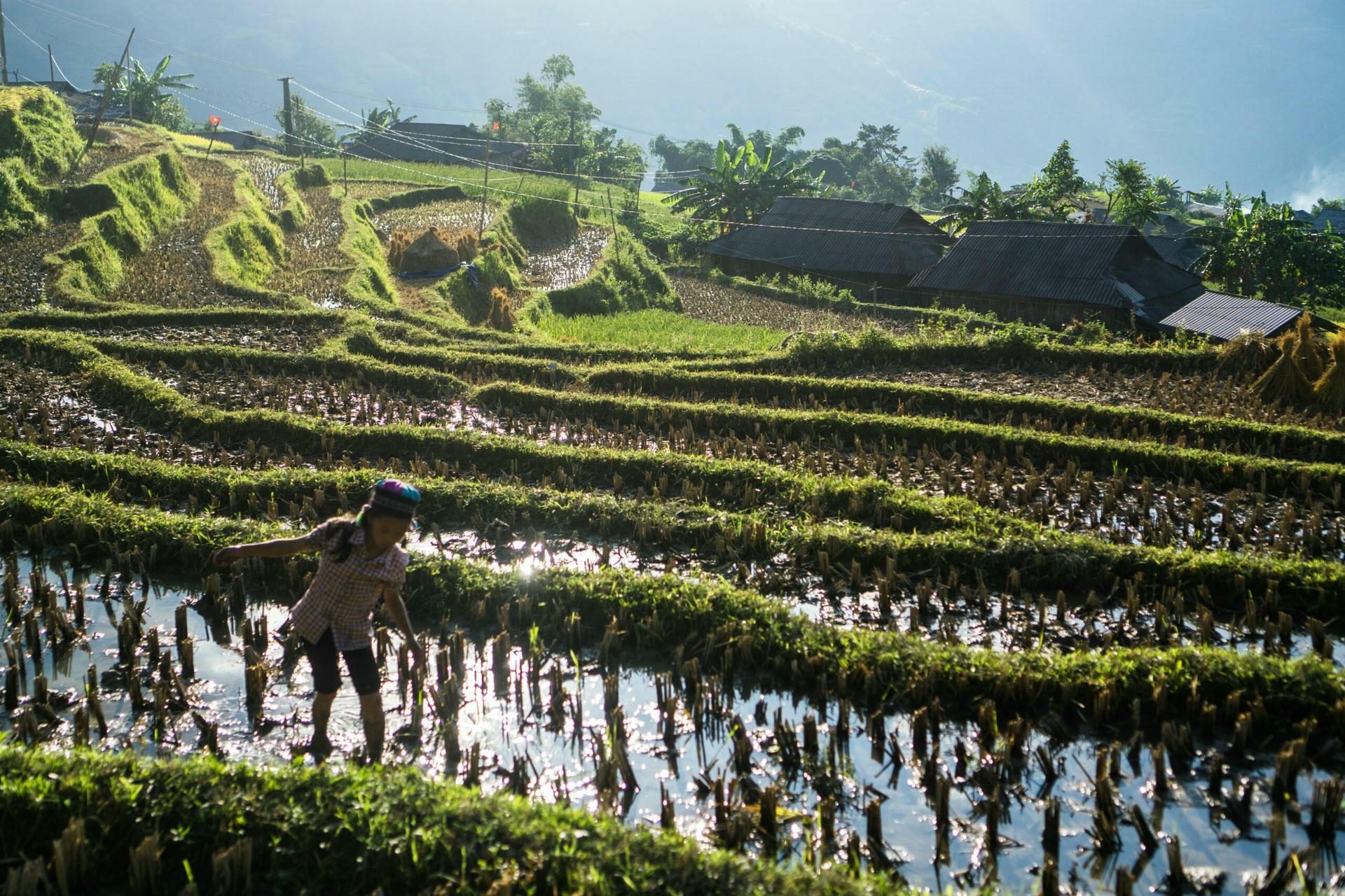ha giang travel 