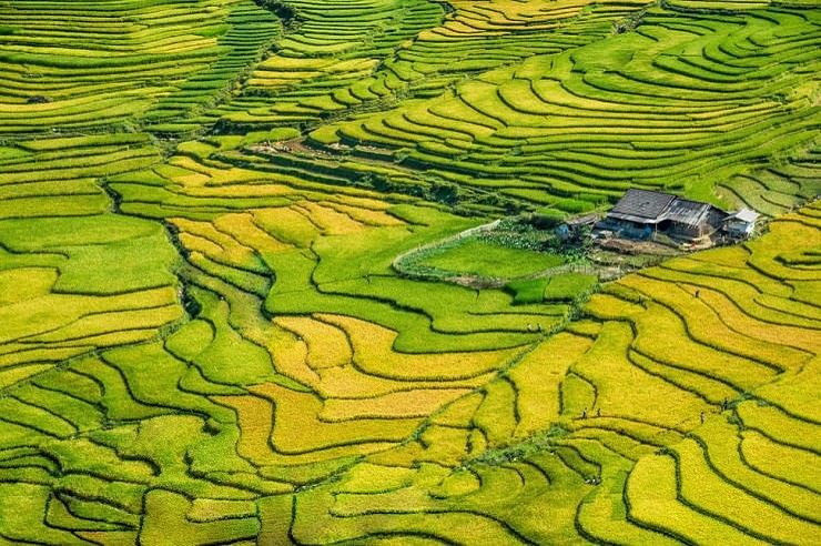 sapa rice fields explorre 