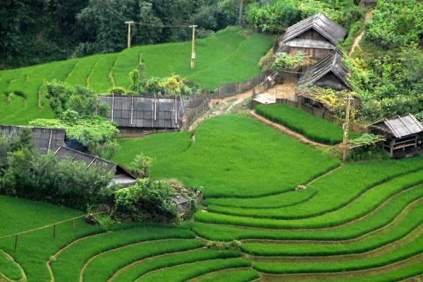sapa trekking 