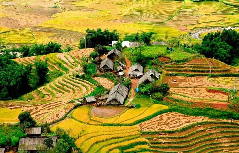 sapa trekking 