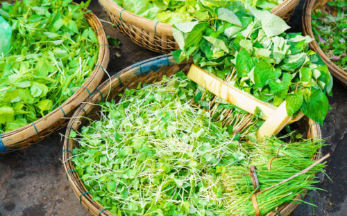 Vietnamese herbs