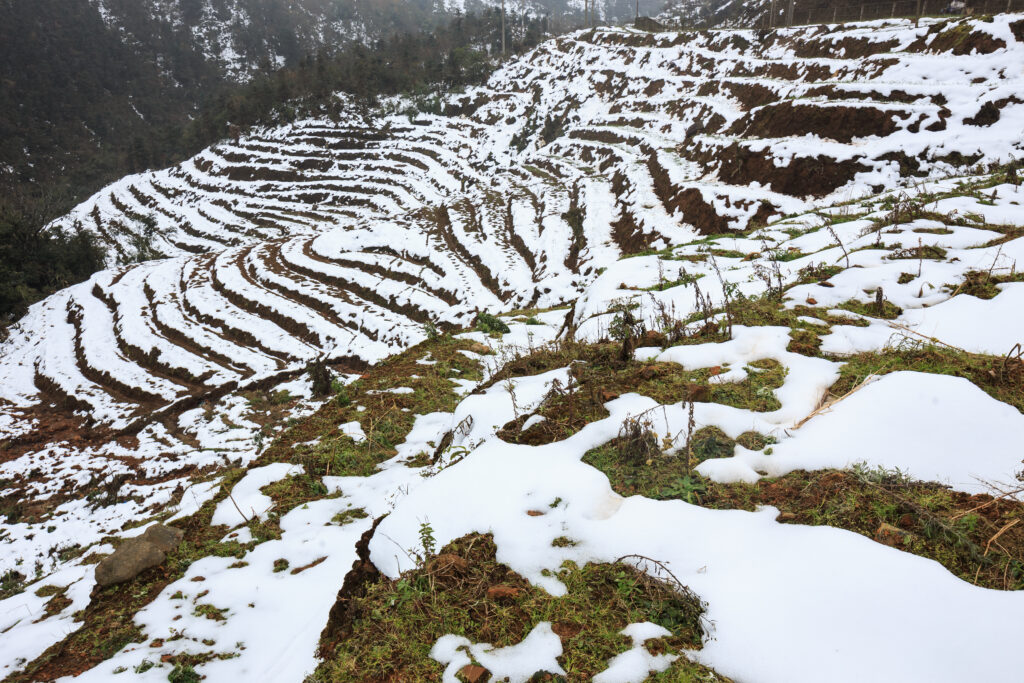 Snow in Vietnam