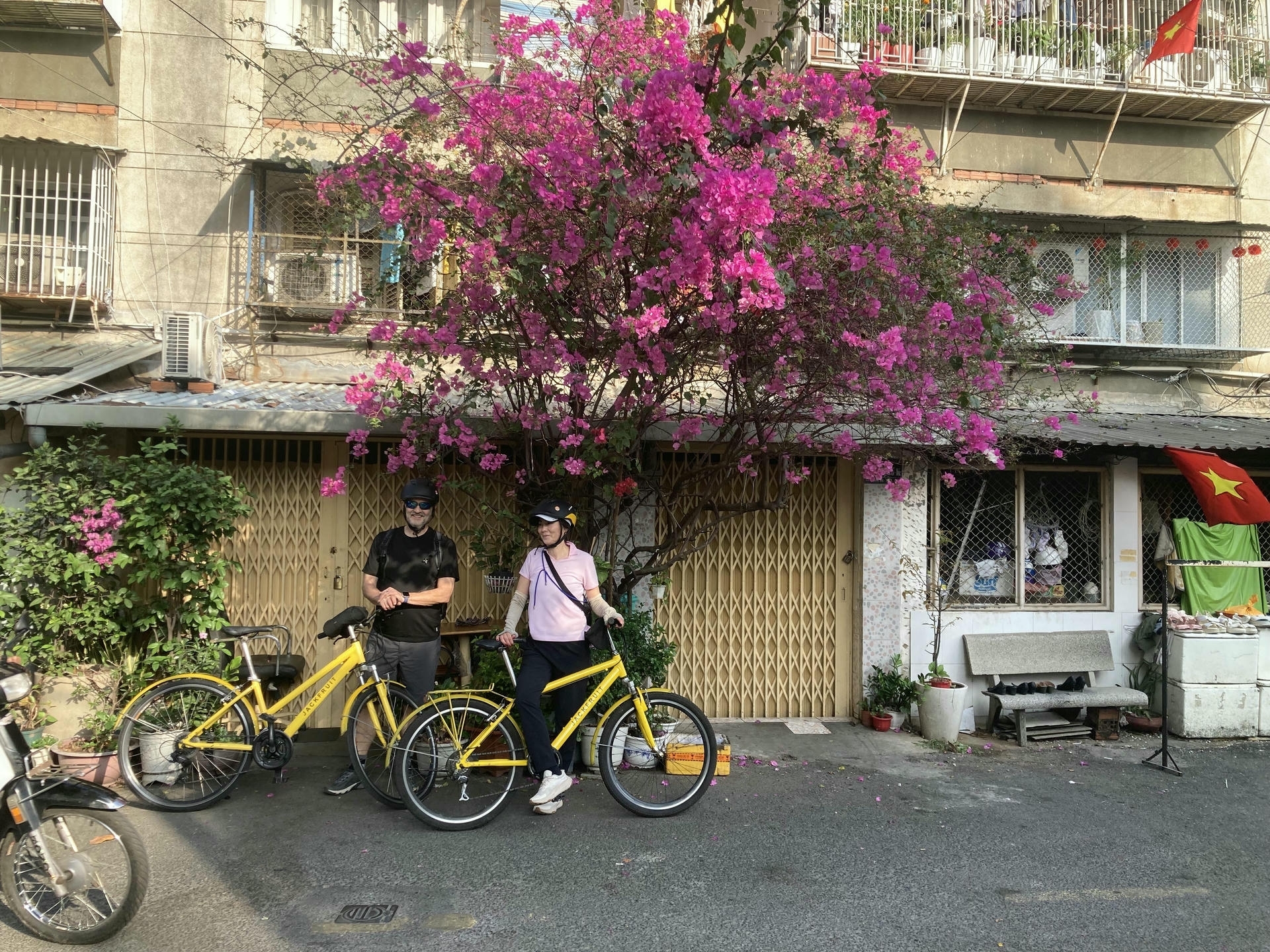 Best things to see and do in Vietnam