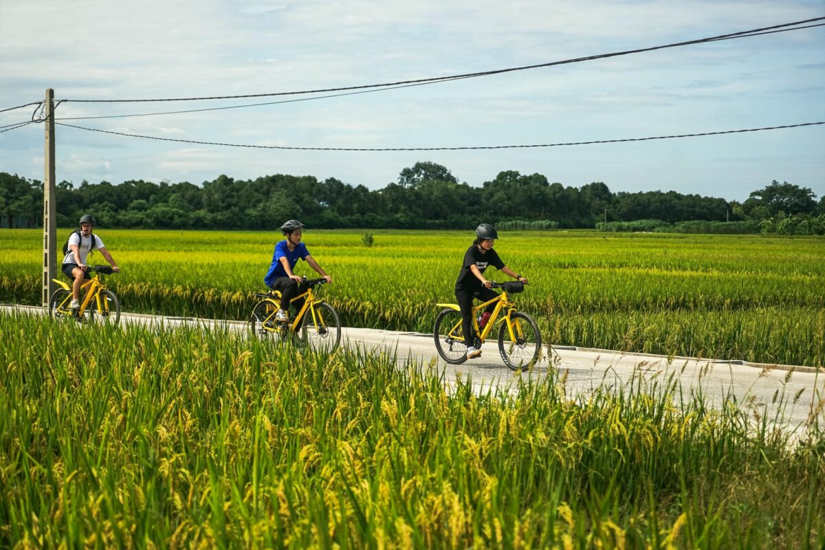 cycling tour ride to the co loa ancient