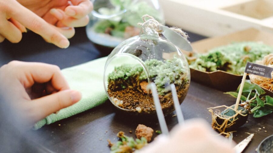A close-up of hands arranging moss and small plants inside a round glass terrarium during a craft workshop.