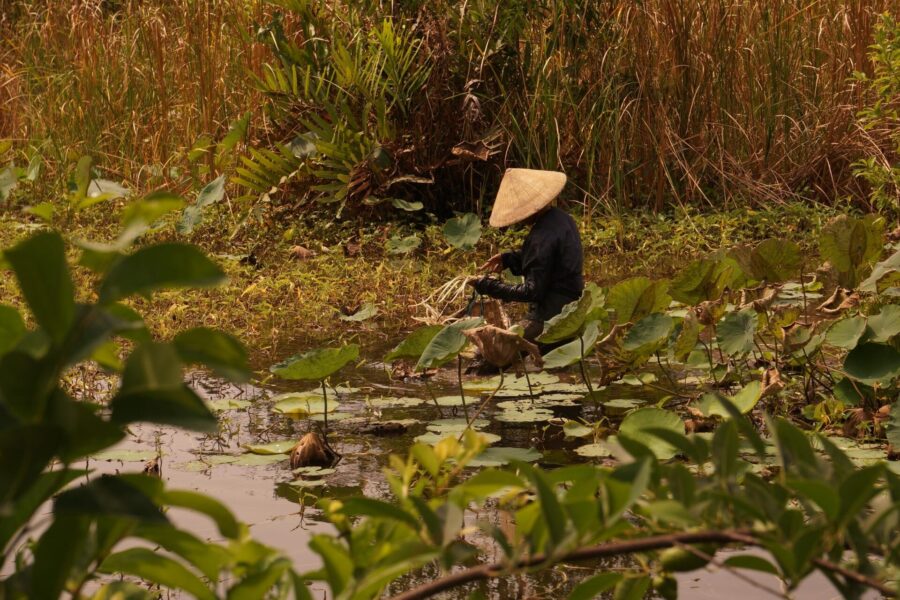monsoon season in Vietnam