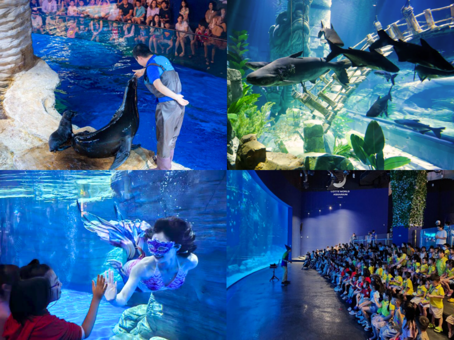 lotte world aquarium hanoi