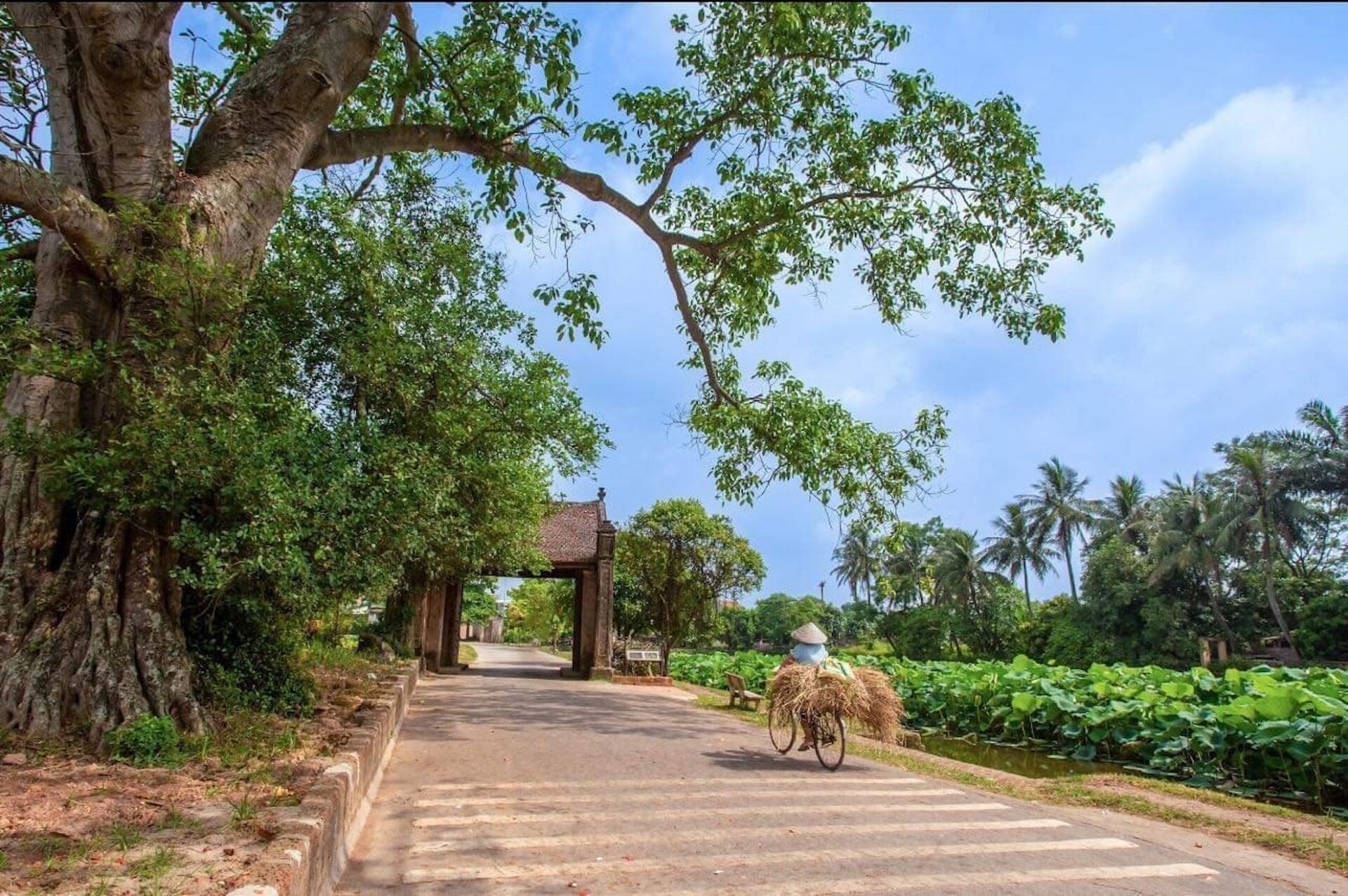 Mong Phu Village Gate - duong lam ancient village - Jackfruit Adventure