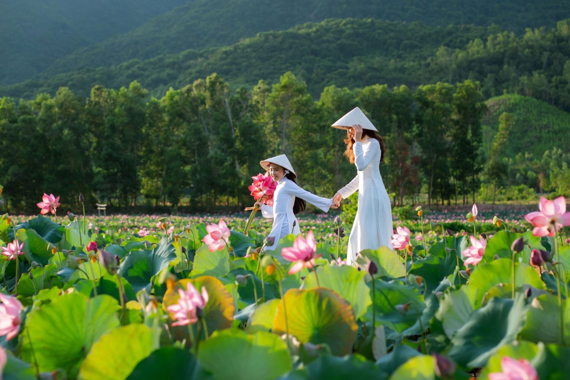 sen ninh binh - vietnam from australia - Jackfruit Adventure