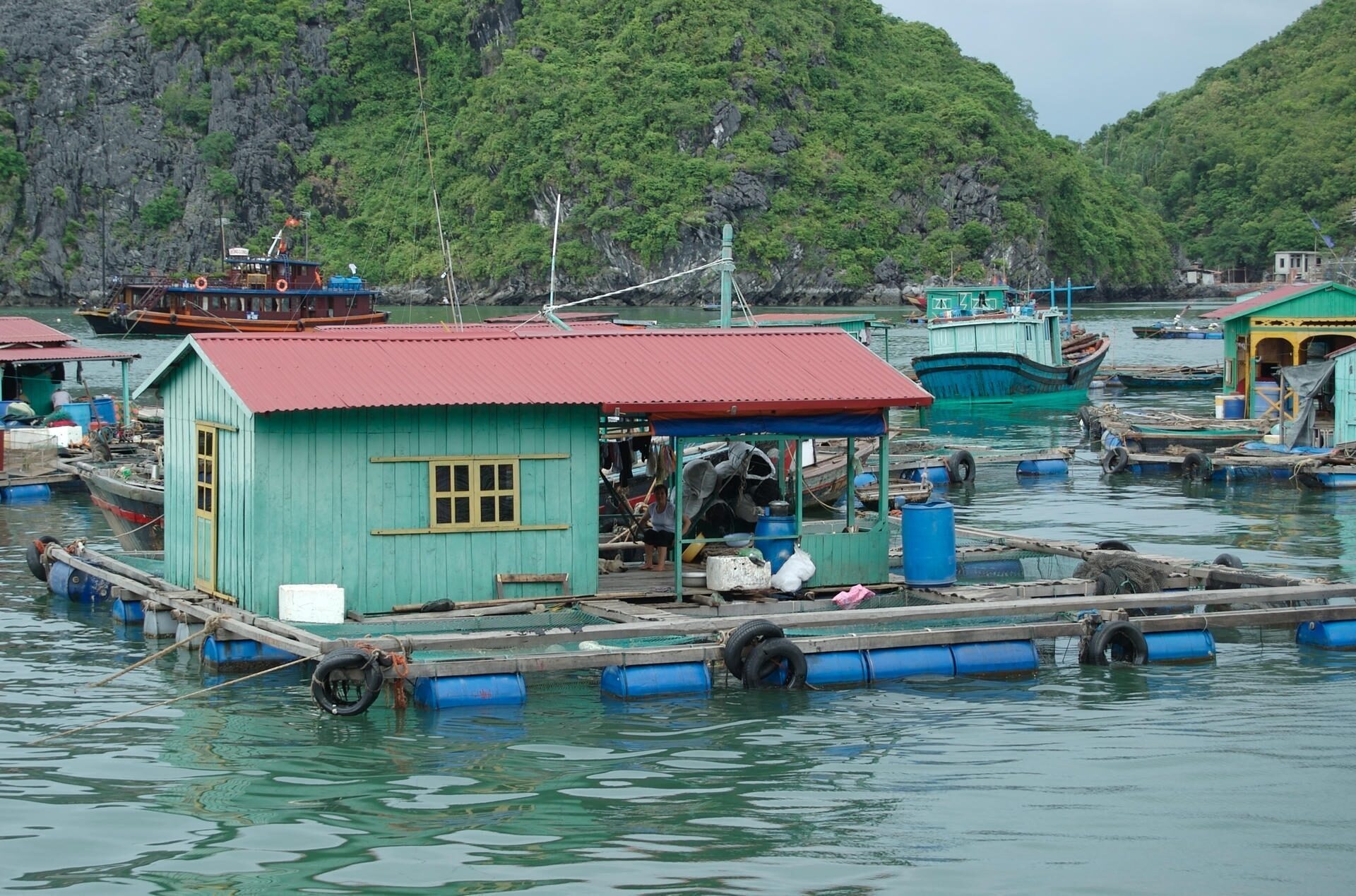 what to do in ha long bay