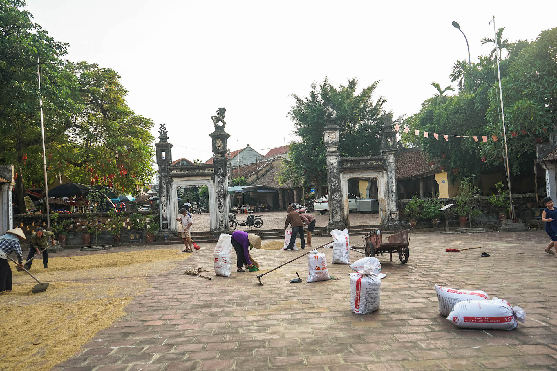 routine - duong lam ancient village - Jackfruit Adventure