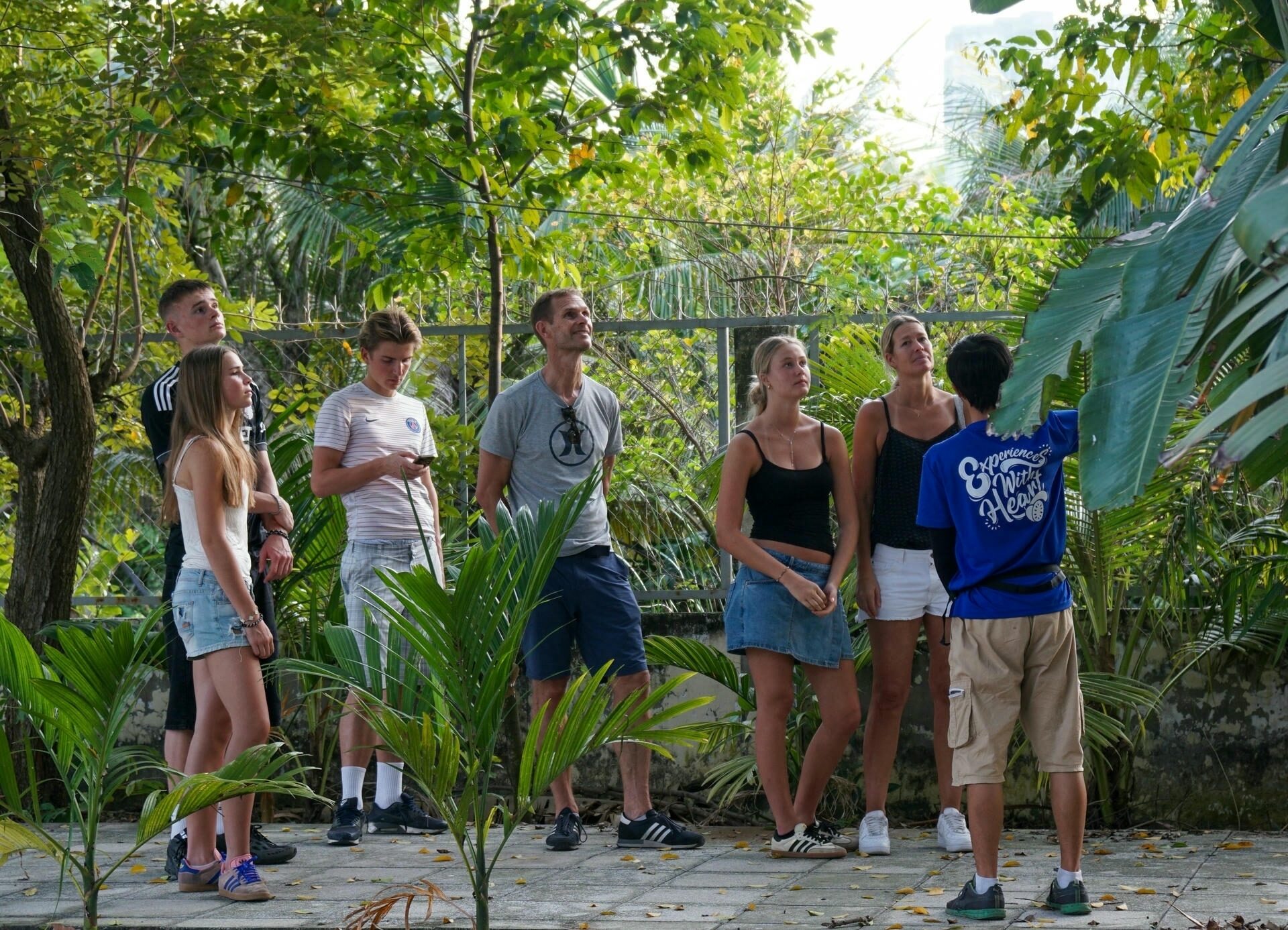 small group walking beneath a canopy of green trees_eco tour_Jackfruit Adventure